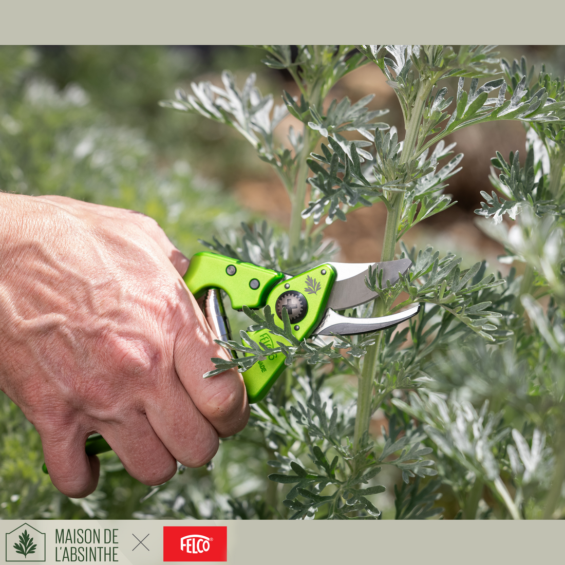 FELCO × Maison de l’Absinthe: A Collaboration Rooted in Swiss Craftsmanship