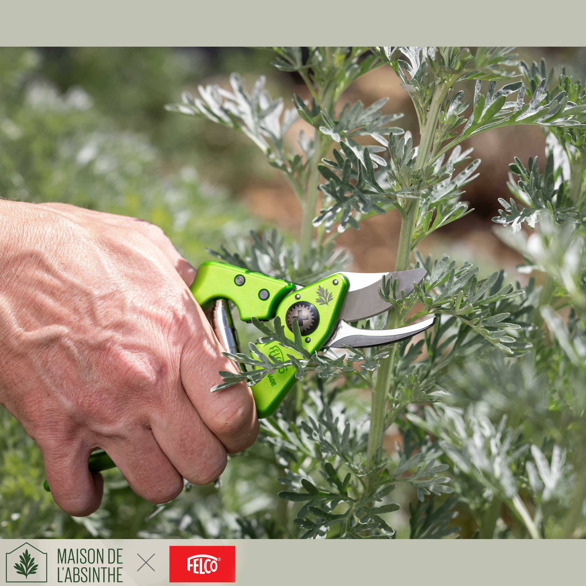 FELCO × Maison de l’Absinthe: A Collaboration Rooted in Swiss Craftsmanship
