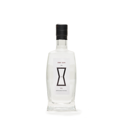 Distillerie Wanner 29-Dry Gin 48% 100cl front view