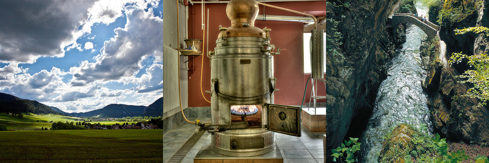 Elixir du Pays des Fées