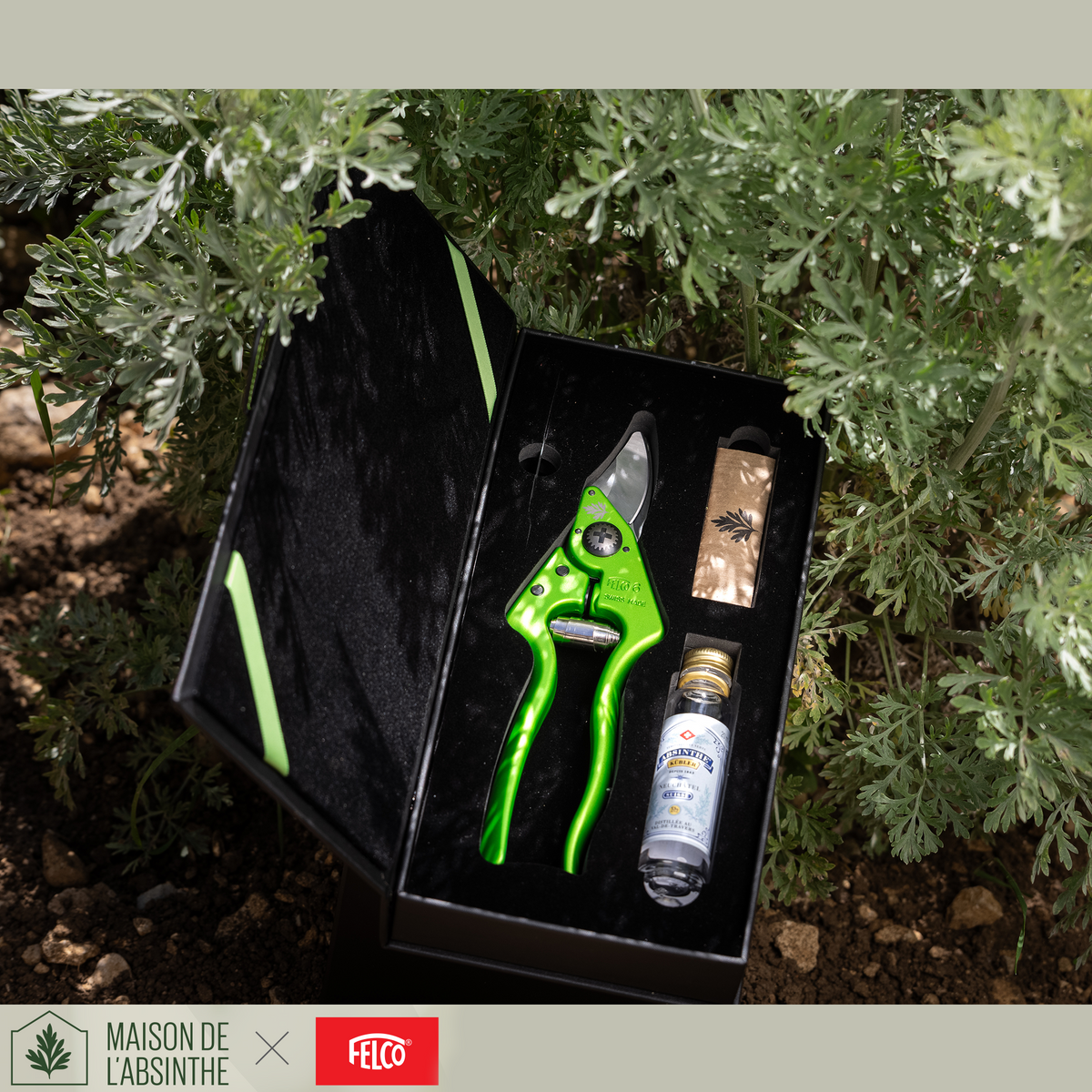 Coffret Botanique Felco × Maison de l'Absinthe